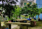আগামী September মাস ১ তারিখ থেকে ভাড়া হবে।