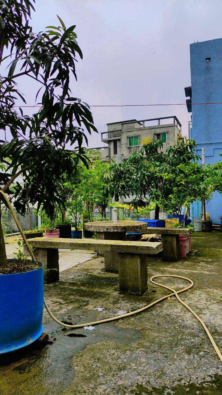 আগামী September মাস ১ তারিখ থেকে ভাড়া হবে।